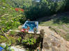 Photo for the classified Charming cottage Terres Basses Saint Martin #54