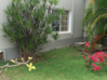 Photo for the classified Furnished 2 BR, 1 bath unit for long term rental Guana Bay Sint Maarten #10