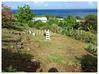 Photo de l'annonce T2 Meuble Avec Jardin Et Jacuzzi -... Les Anses-d'Arlet Martinique #10