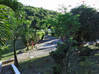 Photo for the classified Lovely Villa Citron Vert, Terres Basses St. Martin Terres Basses Saint Martin #12