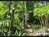 Photo for the classified Lot of 2 apartments T2 - 100 m2 - Cupecoy Saint Martin #5
