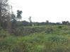Photo de l'annonce Terrain Agricole 10 798M2 Risquetout... Macouria Guyane #1