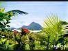 Photo de l'annonce GÎtes ClassÉs - 280 M2 - Les Saintes... Terre-de-Bas Guadeloupe #5