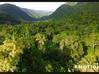 Photo de l'annonce Terrain De 7 877m2 dont 1 000M2... Vieux-Habitants Guadeloupe #1