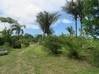 Photo de l'annonce Macouria terrain - Terrain de 31... Macouria Guyane #6