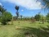 Photo de l'annonce Macouria terrain - Terrain de 31... Macouria Guyane #7