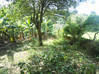 Photo de l'annonce Beau Terrain de 7 570 m² Le Lorrain Martinique #3