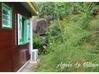 Photo de l'annonce Maison en bois rouge proche Plage +... Deshaies Guadeloupe #5