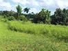 Photo de l'annonce Matoury terrain de 1901m² Matoury Guyane #0