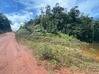 Photo de l'annonce Magnifique parcelle de terrain agricole... Roura Guyane #0