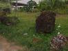 Photo de l'annonce Terrains Constructibles Cayenne Guyane #3