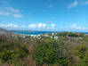 Photo for the classified Land sea view Mont Vernon Saint Martin #1