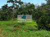 Photo de l'annonce Pelletier - villa F4 sur terrain de 793 m² Le Lamentin Martinique #5