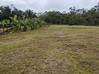 Photo de l'annonce Terrain Agricole 1252m2 24 900Eur Fai ... Roura Guyane #0