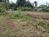 Photo de l'annonce Terrain Agricole 1252m2 24 900Eur Fai ... Roura Guyane #1