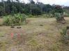 Photo de l'annonce Terrain Agricole 1252m2 24 900Eur Fai ... Roura Guyane #2