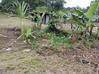 Photo de l'annonce Terrain Agricole 1252m2 24 900Eur Fai ... Roura Guyane #3