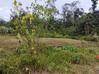 Photo de l'annonce Terrain Agricole 1252m2 24 900Eur Fai ... Roura Guyane #5