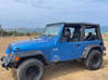 Photo de l'annonce Jeep Wrangler TJ 2003 4,0L Saint-Martin #4