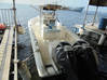Photo de l'annonce VEDETTE SEA FOX 257- 7,80 m Saint-Martin #2