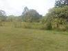 Photo de l'annonce Macouria propriete P4 - terrain 23 482m² Macouria Guyane #5