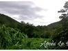 Photo de l'annonce Terrain Vue dégagée accès rivière Vieux-Habitants Guadeloupe #3