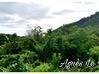 Photo de l'annonce Terrain Vue dégagée accès rivière Vieux-Habitants Guadeloupe #5