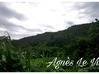 Photo de l'annonce Terrain Vue dégagée accès rivière Vieux-Habitants Guadeloupe #6