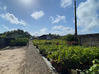 Photo de l'annonce villa T4 tout confort ( en location... Matoury Guyane #19