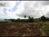 Photo de l'annonce Terrain Constructible Basse Pointe Basse-Pointe Martinique #1