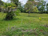 Photo de l'annonce Terrain à bâtir 1 000 m2 a la Carapa -... Montsinéry-Tonnegrande Guyane #3
