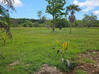 Photo de l'annonce Terrain à bâtir 1 000 m2 a la Carapa -... Montsinéry-Tonnegrande Guyane #6