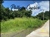 Photo de l'annonce Martinique (972), Riviere E - Terrain... Rivière-Salée Martinique #1
