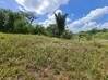 Photo de l'annonce Montsinery Tonnegrande terrain - Terrain de 10 040,00 m² Montsinéry-Tonnegrande Guyane #6