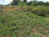 Photo de l'annonce Montsinery Tonnegrande terrain - Terrain de 10 040,00 m² Montsinéry-Tonnegrande Guyane #8