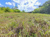 Photo de l'annonce Montsinery Tonnegrande terrain - Terrain de 10 040,00 m² Montsinéry-Tonnegrande Guyane #9
