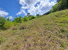 Photo de l'annonce Montsinery Tonnegrande terrain - Terrain de 10 040,00 m² Montsinéry-Tonnegrande Guyane #10