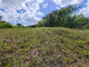 Photo de l'annonce Montsinery Tonnegrande terrain - Terrain de 10 040,00 m² Montsinéry-Tonnegrande Guyane #21