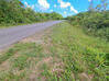 Photo de l'annonce Montsinery Tonnegrande terrain - Terrain de 10 040,00 m² Montsinéry-Tonnegrande Guyane #24