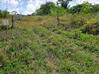 Photo de l'annonce Montsinery Tonnegrande terrain - Terrain de 10 040,00 m² Montsinéry-Tonnegrande Guyane #25