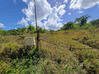 Photo de l'annonce Montsinery Tonnegrande terrain - Terrain de 10 040,00 m² Montsinéry-Tonnegrande Guyane #26