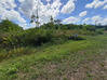 Photo de l'annonce Montsinery Tonnegrande terrain - Terrain de 10 040,00 m² Montsinéry-Tonnegrande Guyane #38