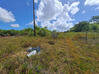 Photo de l'annonce Montsinery Tonnegrande terrain - Terrain de 10 040,00 m² Montsinéry-Tonnegrande Guyane #39