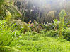 Photo de l'annonce Sainte Luce terrain de 2525 m² Sainte-Luce Martinique #2
