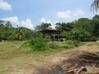 Photo de l'annonce Kourou terrain Kourou Guyane #5