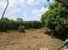Photo de l'annonce Kourou terrain Kourou Guyane #6