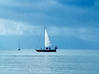 Photo for the classified Sailboat 12m50 renovated ++ for life on board or travel Saint Martin #9
