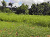 Photo de l'annonce Matoury terrain Matoury Guyane #1