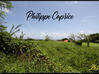 Photo for the classified Basse Pointe terrain 10 000 m² Basse-Pointe Martinique #0
