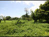 Photo for the classified Basse Pointe terrain 10 000 m² Basse-Pointe Martinique #1